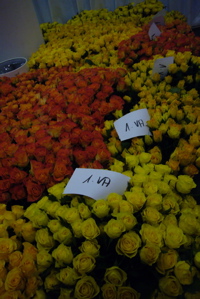c0167813_18293399.jpg