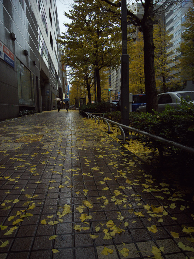 c0174913_1835661.jpg