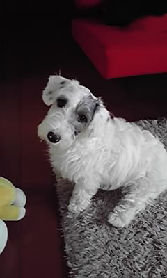 b0143714_20105046.jpg