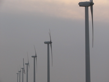 e0167315_2043172.jpg