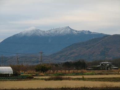 f0175115_2024621.jpg