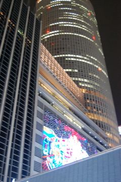 c0111017_20215164.jpg