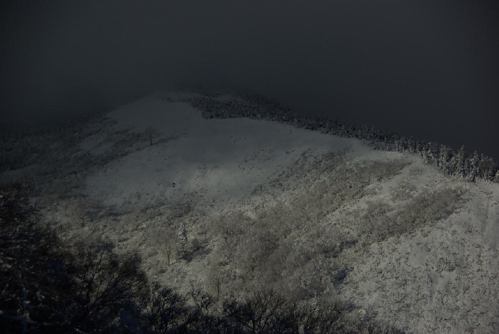 b0062024_619454.jpg