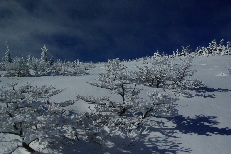 b0062024_718026.jpg