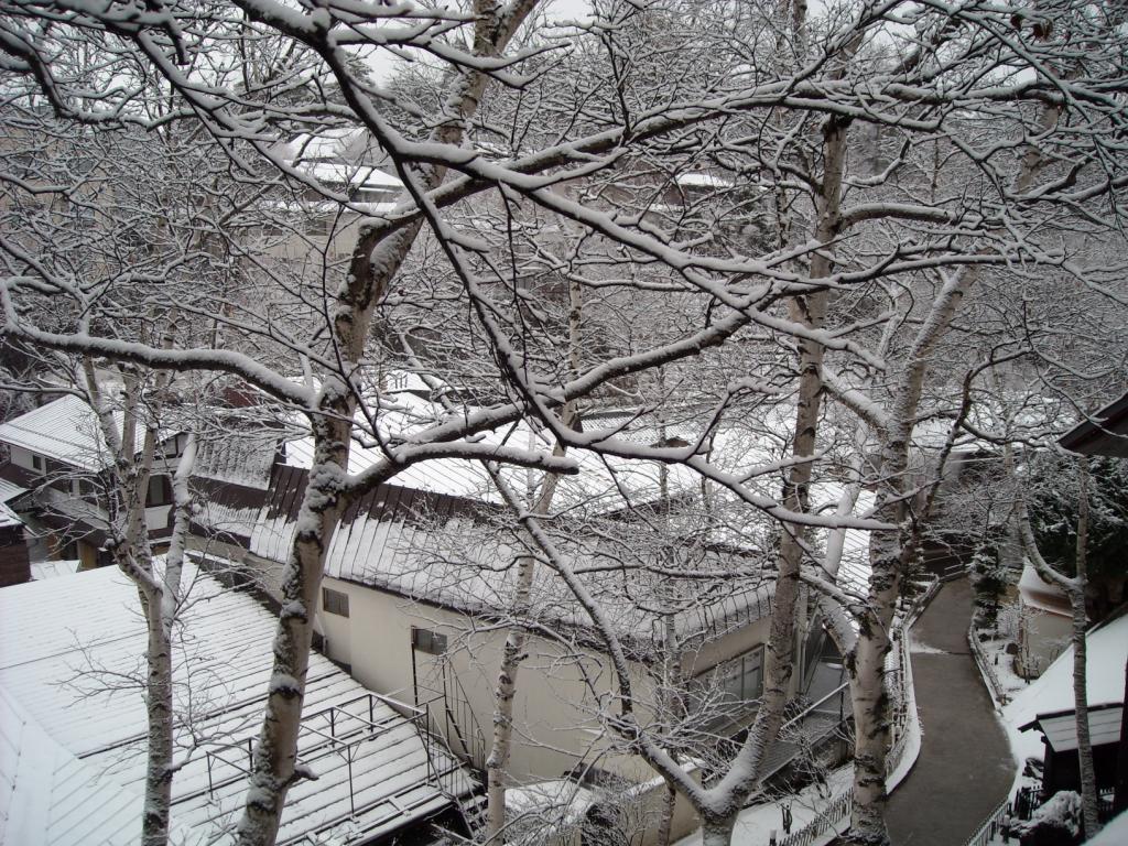 b0066926_22285962.jpg