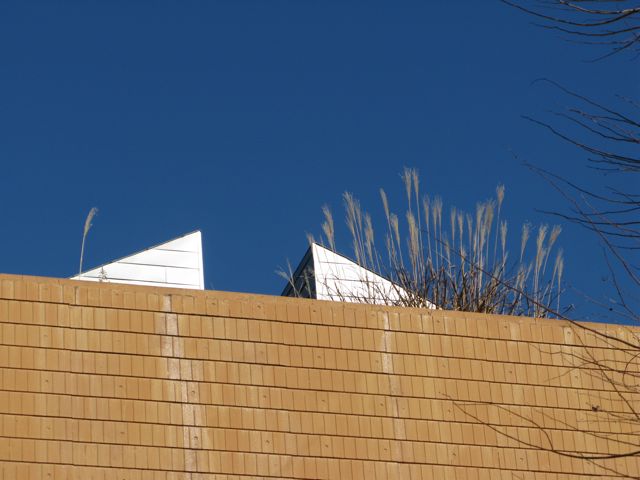 c0019131_1211311.jpg