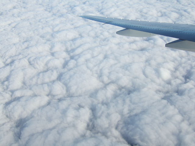 e0064133_213245.jpg