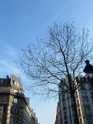 b0072234_1216131.jpg