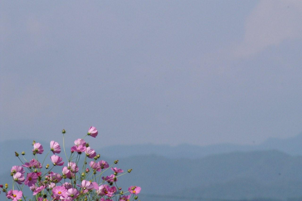 e0165434_0194037.jpg