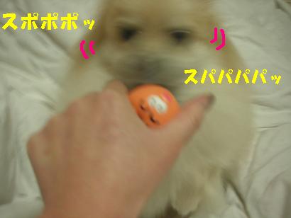 c0179136_3282232.jpg