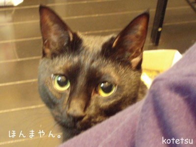 c0132438_2372385.jpg