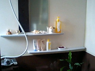 c0117239_10401799.jpg