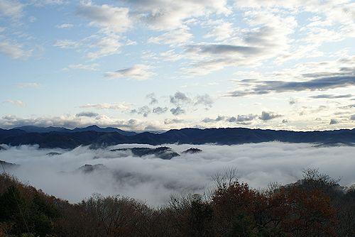 e0149241_2151740.jpg