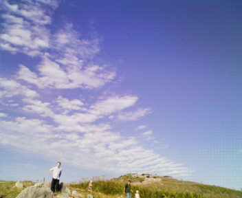 c0185445_2363975.jpg