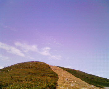 c0185445_237675.jpg