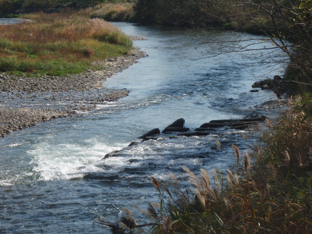 d0083145_14315832.jpg