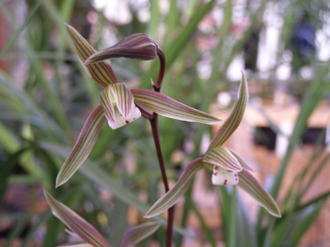 f0043750_2254034.jpg