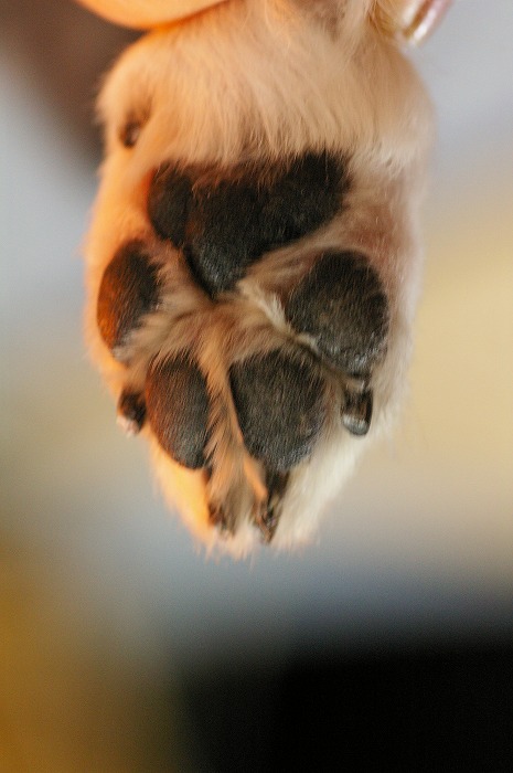 f0154751_2210442.jpg