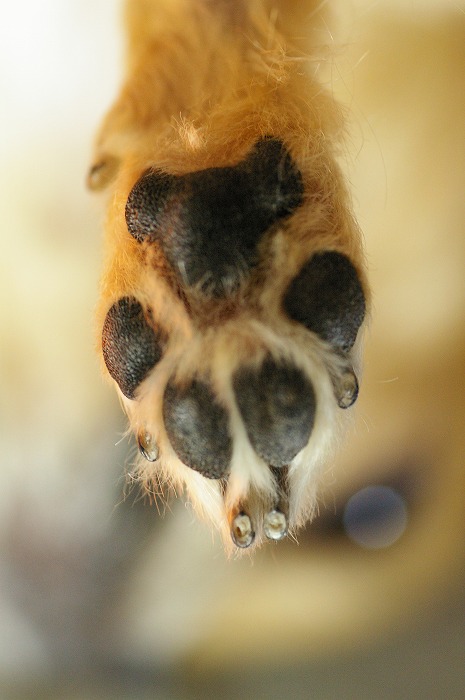 f0154751_22124552.jpg