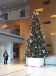 e0113254_13325176.jpg