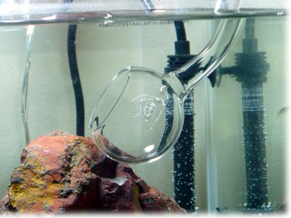 e0139056_1723411.jpg