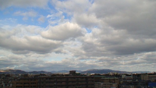 d0083265_20205340.jpg