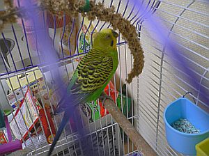 f0196665_16383562.jpg
