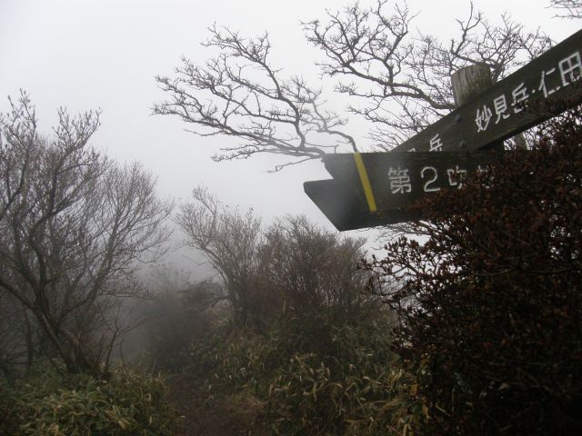 c0042869_1917535.jpg