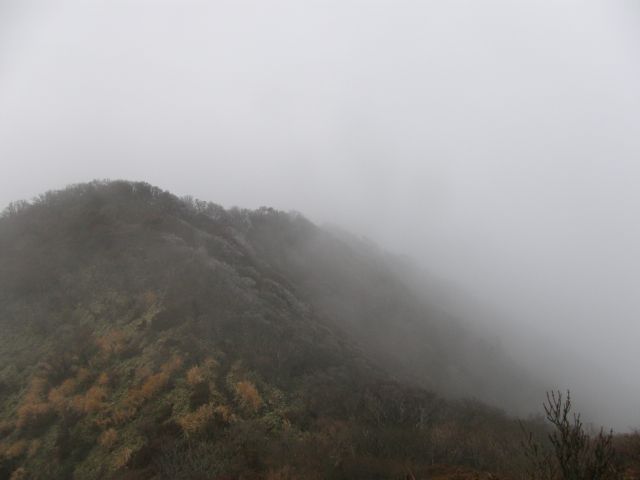 c0042869_19304797.jpg