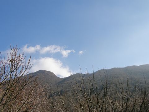 c0042869_19415684.jpg