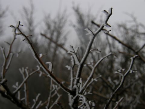 c0042869_20145785.jpg