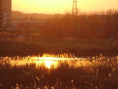 c0112172_2352998.jpg