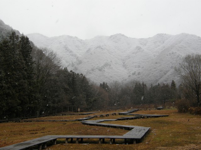 d0134473_13445151.jpg
