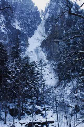 c0036878_21514532.jpg