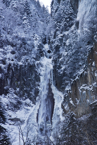 c0036878_21523317.jpg