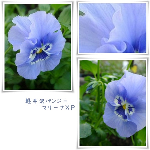 a0079880_19111650.jpg