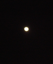 d0015580_21182636.jpg