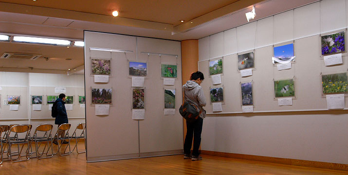 f0090680_2271320.jpg