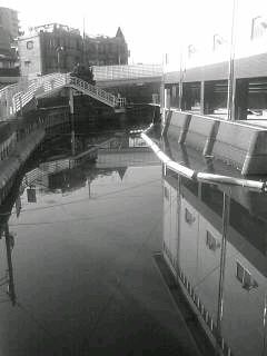 f0100480_15462854.jpg