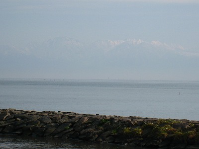 e0100086_1730832.jpg