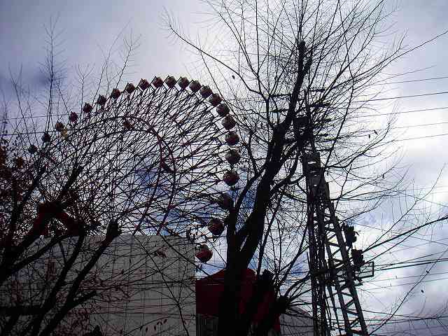 c0160387_17413030.jpg