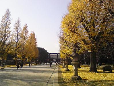 b0100489_18142319.jpg