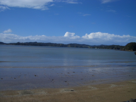 f0046489_528141.jpg