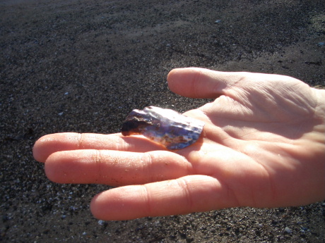 f0046489_6225364.jpg