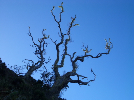 f0046489_6275970.jpg