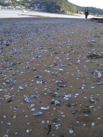 f0046489_6312060.jpg