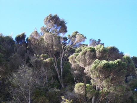 f0046489_6335452.jpg