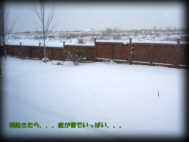 c0164491_538859.jpg