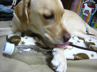 c0028792_2112285.jpg