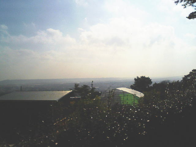 c0087392_1105771.jpg